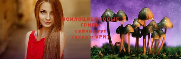 шишки Армянск