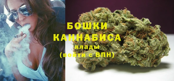 шишки Армянск