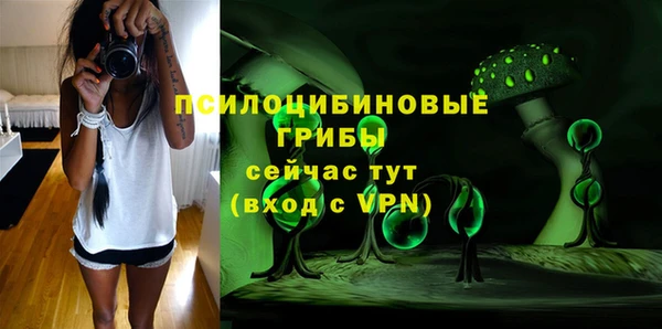 прущий лед Арсеньев