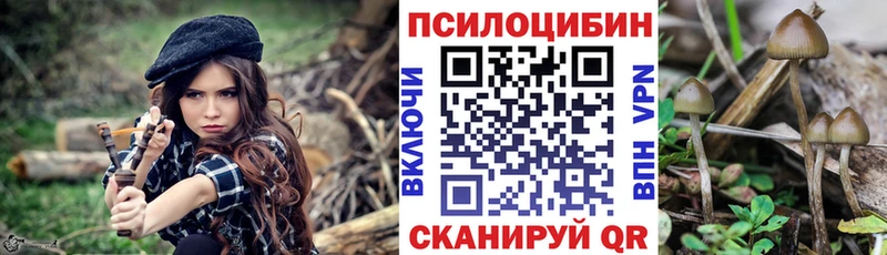 Галлюциногенные грибы мицелий  blacksprut ссылка  Балашиха 