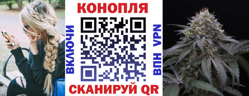 Конопля Amnesia  Балашиха 